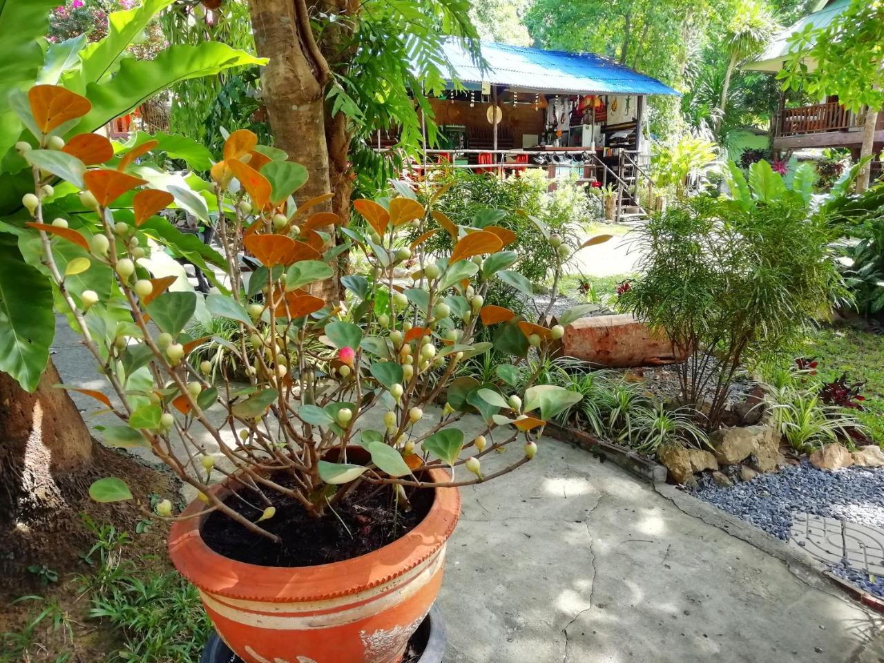 Macura Resort Koh Chang Bagian luar foto