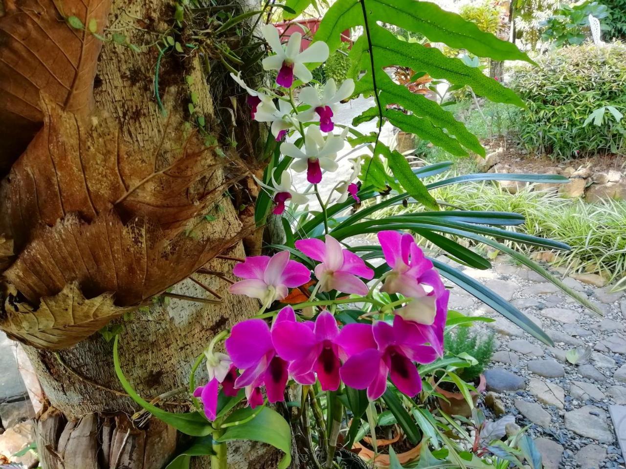 Macura Resort Koh Chang Bagian luar foto